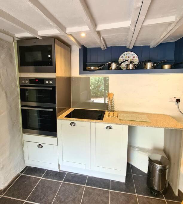 Mill Cottage Garden Annexe ニュートン・アボット エクステリア 写真