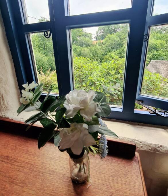 Mill Cottage Garden Annexe ニュートン・アボット エクステリア 写真