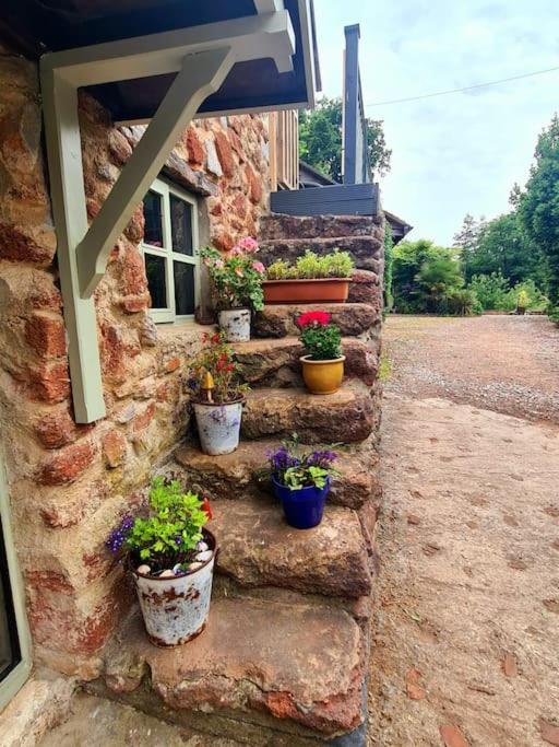 Mill Cottage Garden Annexe ニュートン・アボット エクステリア 写真